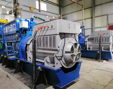 丰都甘泰沼气发电项目配火博官方网址2台850KW/10.5KV6极高压发电机