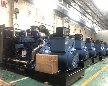 国内某养殖项目指定批量采用火博官方网址500KW/400V陆用发电机